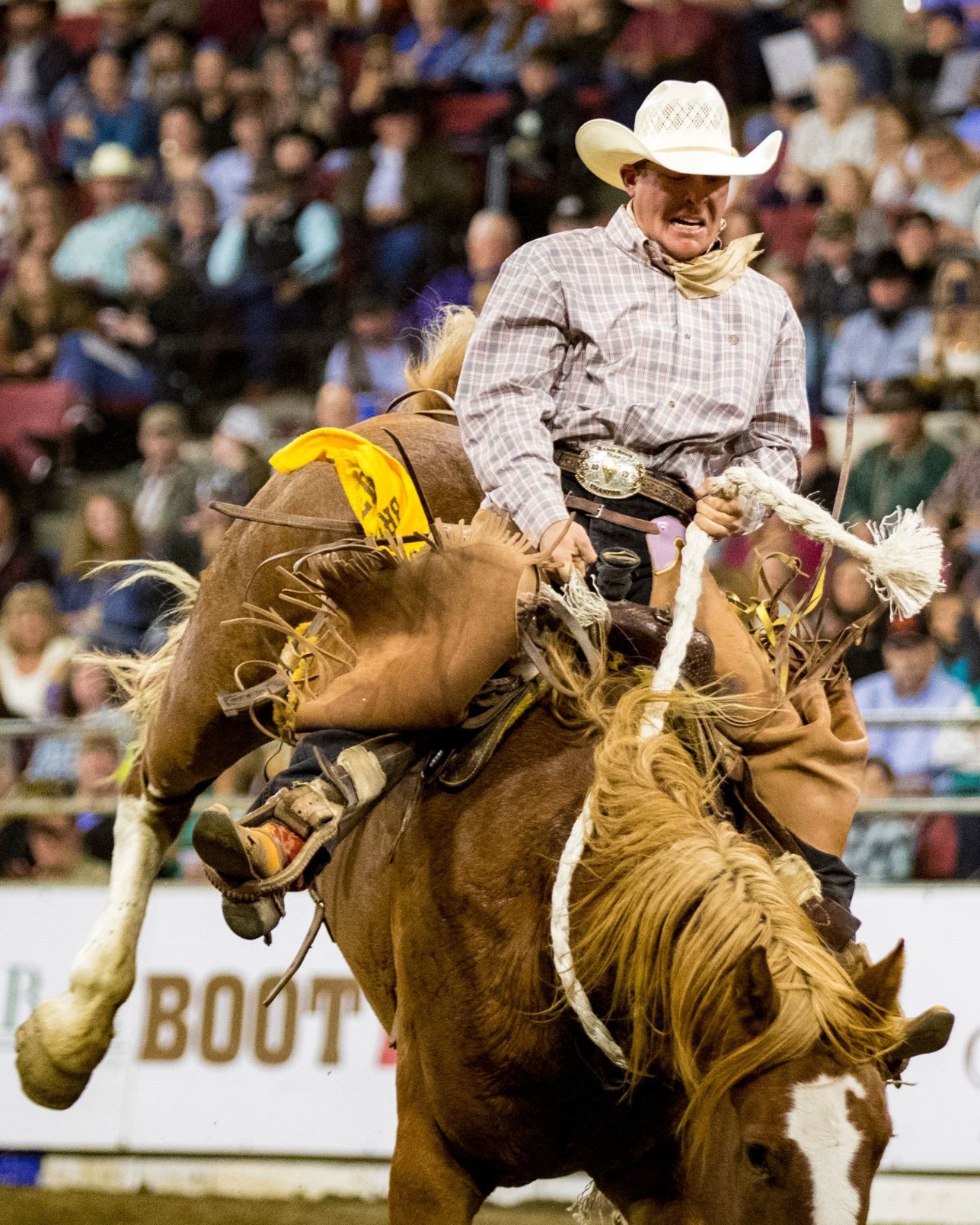 NILE Ranch Rodeo